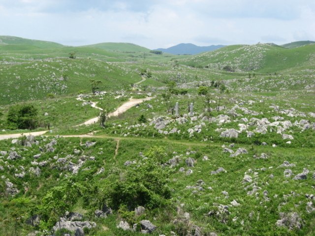 🏞️ 아키요시다이 카르스트 전망대 이미지 1